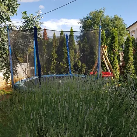 Gaya In With Xl Pool And Stunning Garden Poreč