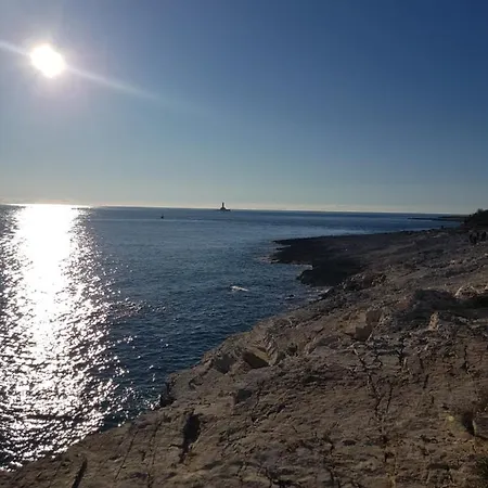 Gaya In With Xl Pool And Stunning Garden * Poreč