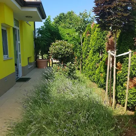Gaya In With Xl Pool And Stunning Garden Vila Poreč
