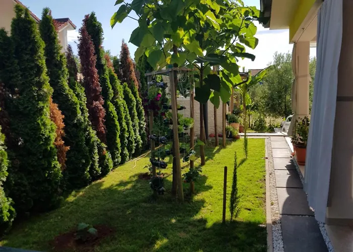 빌라 Gaya In With Xl Pool And Stunning Garden 포레치
